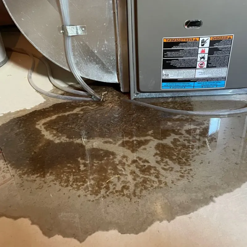 Pipe Burst and Leak Restoration in Dillsburg, PA